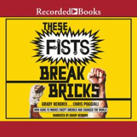 These_Fists_Break_Bricks